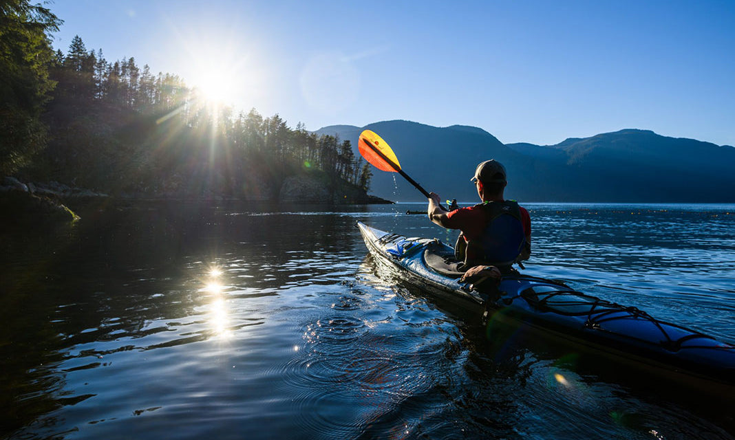 Paddle Sale