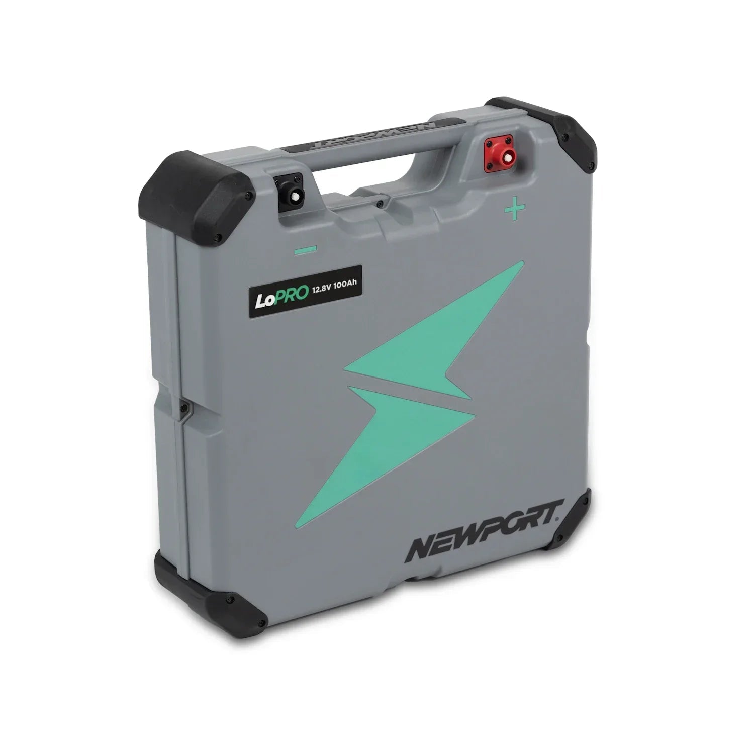 12V 100Ah LoPRO Lithium LiFePO4 Battery, Battery, Newport Wholesale, at Festive Water Paddlesports