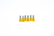 12v/12v Quantum Charger, , Monster Marine Lithium, Led Acid / Gel / AGM at Festive Water Paddlesports