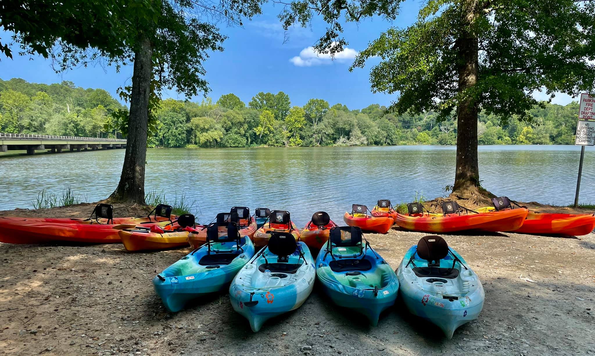 Fleet of kayaks on lake bank