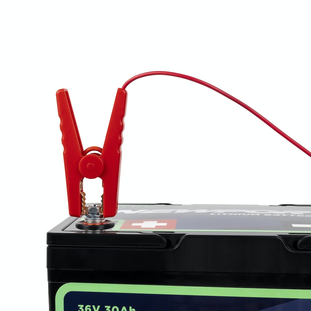24V Battery Charger, Battery Charger, Newport Wholesale, at Festive Water Paddlesports