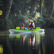 Manta Ray Fiberglass 2-Piece Snap-Button Kayak Paddle