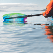 Tango Fiberglass 2-Piece Bent Shaft Kayak Paddle