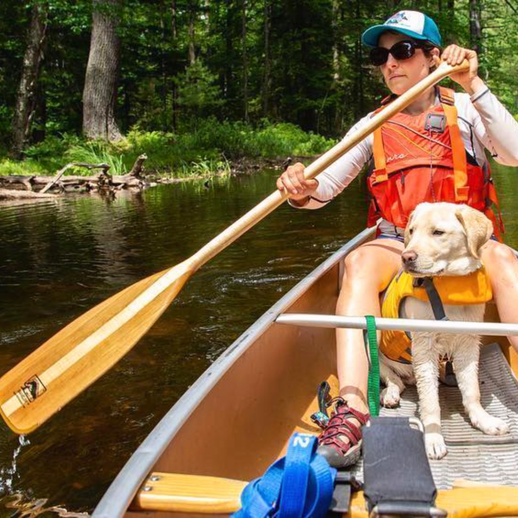 Traveler