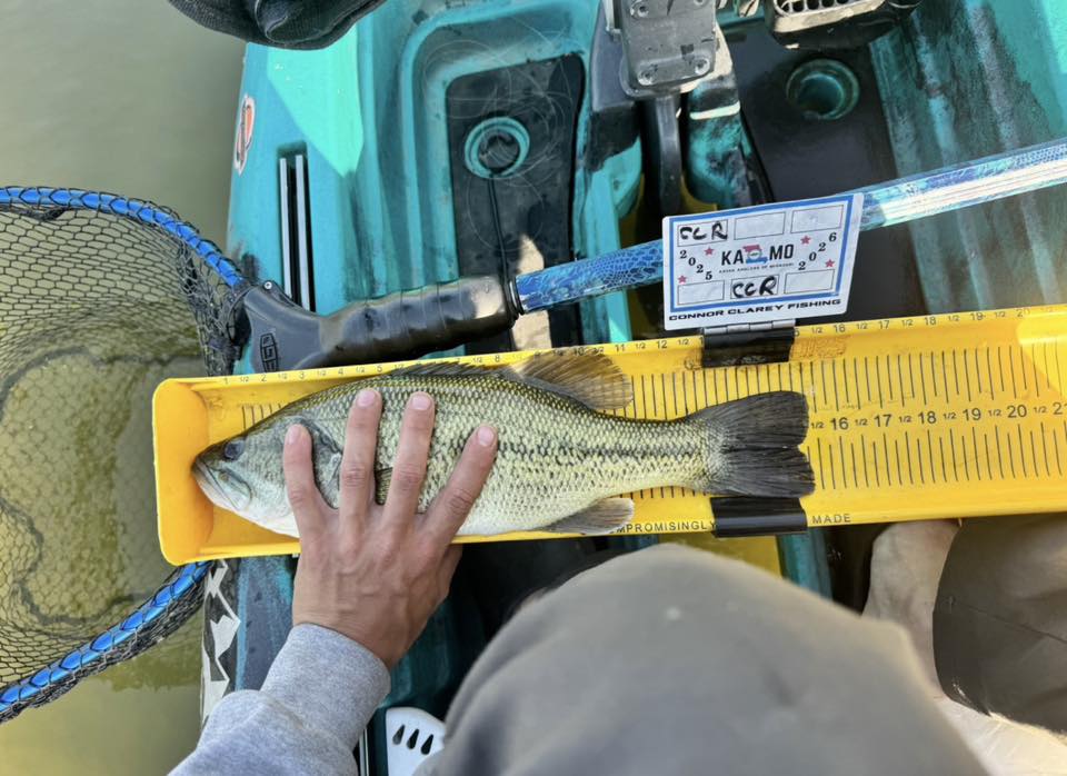 Backlash, Measuring Board, Trash Panda Decals, at Festive Water Paddlesports