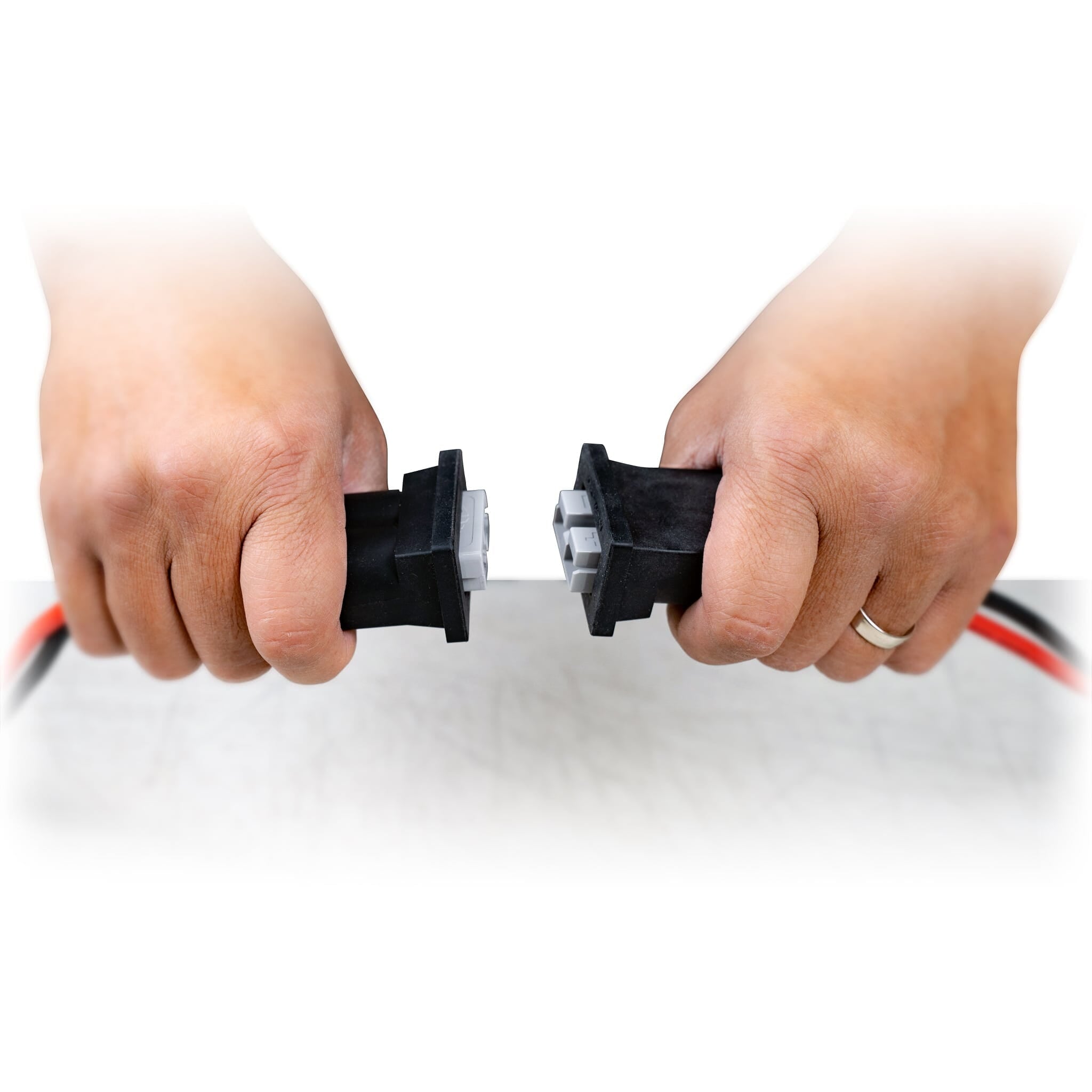 Battery Quick Disconnect, Trolling Motor Accessory, Newport Wholesale, at Festive Water Paddlesports