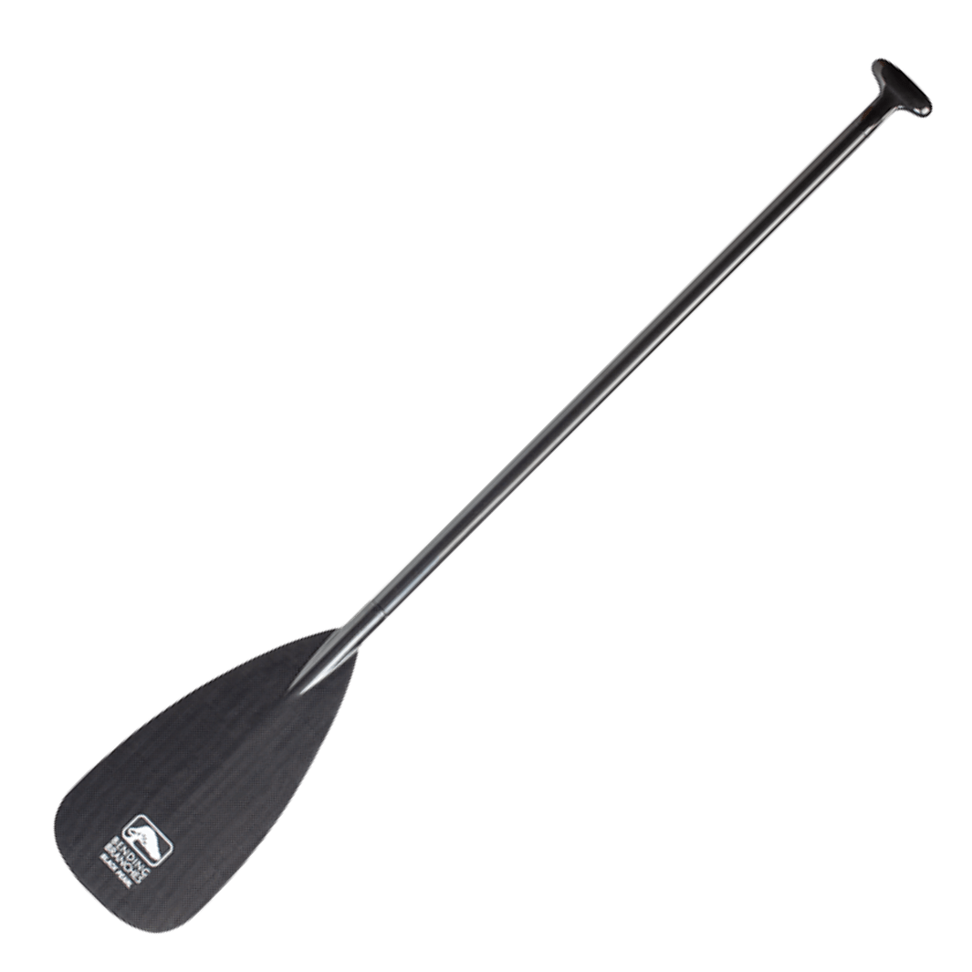 Black Pearl ST, Canoe Paddle, Bending Branches, 52 in at Festive Water Paddlesports