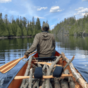 Cruiser Plus 11, Canoe Paddle, Bending Branches, 48 in at Festive Water Paddlesports
