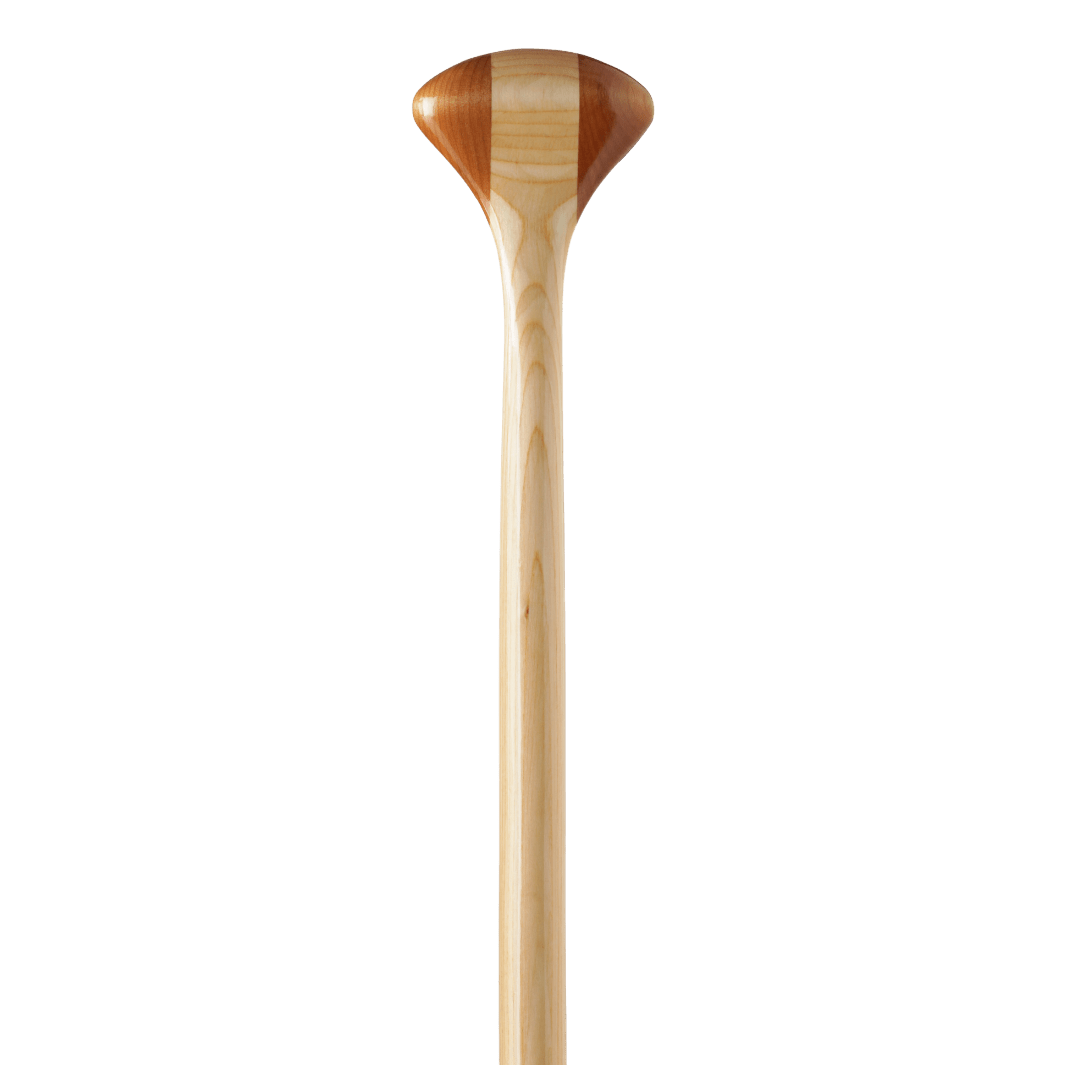 Cruiser Plus 11, Canoe Paddle, Bending Branches, 48 in at Festive Water Paddlesports