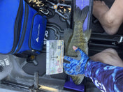 Double Up Series Identifiers, Measuring Board, Trash Panda Decals, at Festive Water Paddlesports
