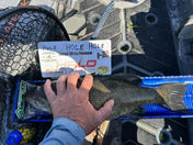 Double Up Series Identifiers, Measuring Board, Trash Panda Decals, at Festive Water Paddlesports