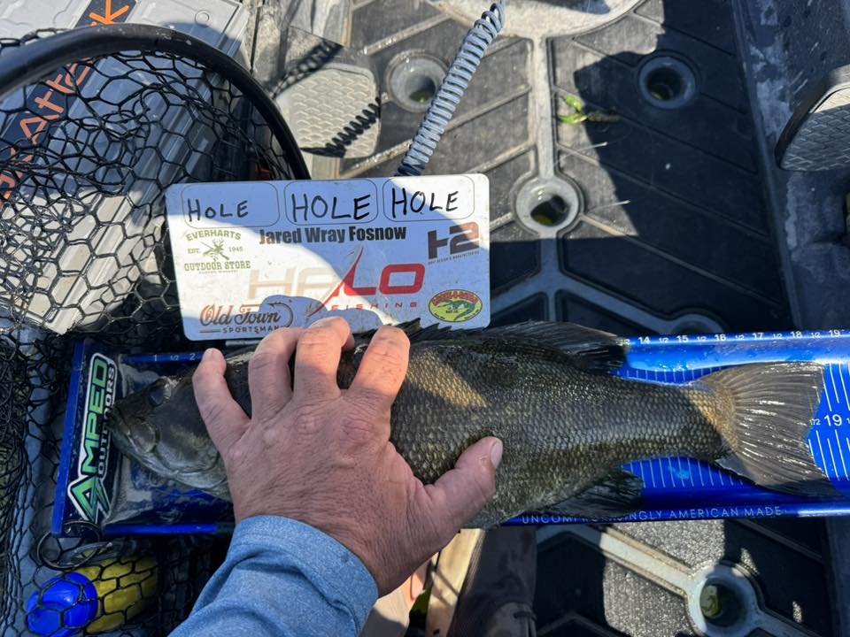 Double Up Series Identifiers, Measuring Board, Trash Panda Decals, at Festive Water Paddlesports