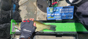 Double Up Series Identifiers, Measuring Board, Trash Panda Decals, at Festive Water Paddlesports