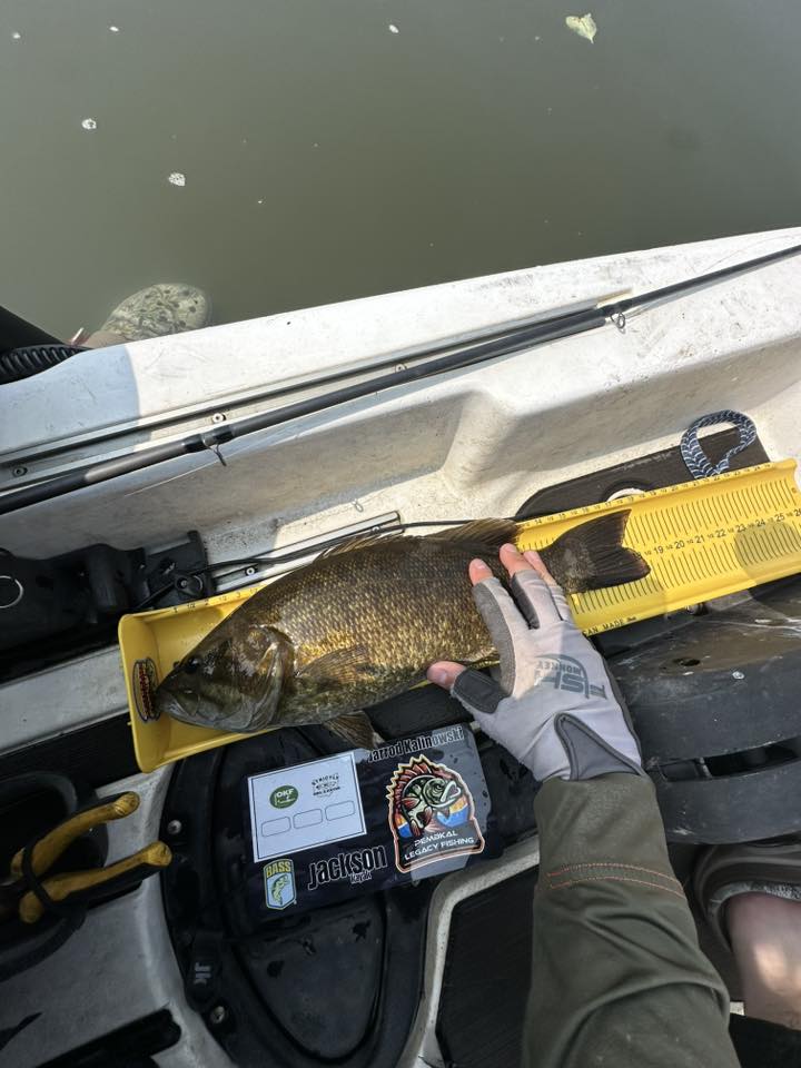 Double Up Series Identifiers, Measuring Board, Trash Panda Decals, at Festive Water Paddlesports
