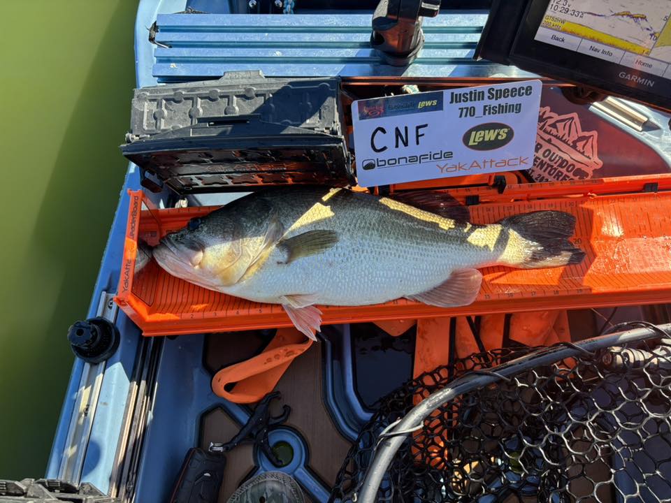 Double Up Series Identifiers, Measuring Board, Trash Panda Decals, at Festive Water Paddlesports
