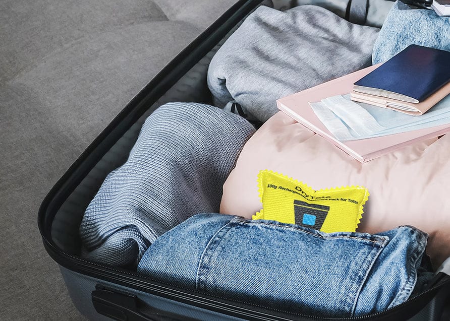 DryTote 100g Rechargeable Desiccant Packs, , DryTote LLC, 5 - Pack, , at Festive Water Paddlesports