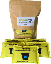 DryTote 100g Rechargeable Desiccant Packs, , DryTote LLC, 5 - Pack, , at Festive Water Paddlesports