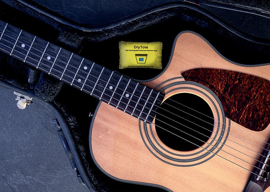 DryTote 100g Rechargeable Desiccant Packs, , DryTote LLC, 5 - Pack, , at Festive Water Paddlesports