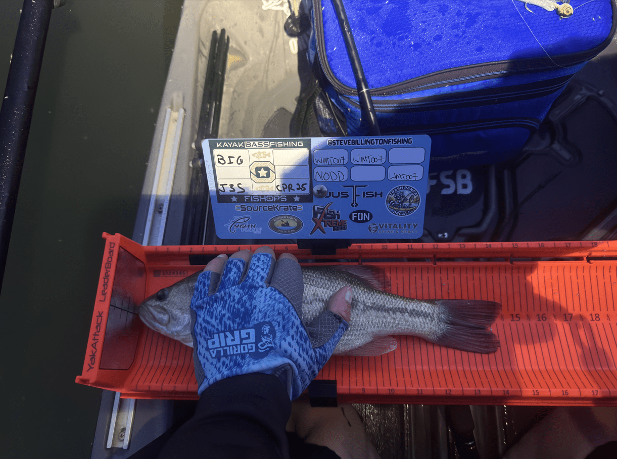 Dumpster Lid ID Holder (YakAttack Leaderboard), Measuring Board, Trash Panda Decals, at Festive Water Paddlesports