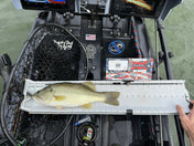 Dumpster Lid ID Holder (YakAttack Leaderboard), Measuring Board, Trash Panda Decals, at Festive Water Paddlesports