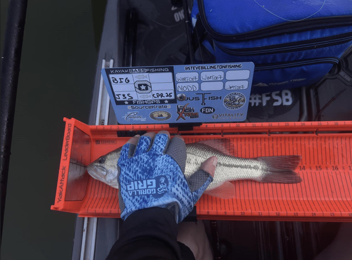 Dumpster Lid ID Holder (YakAttack Leaderboard), Measuring Board, Trash Panda Decals, at Festive Water Paddlesports