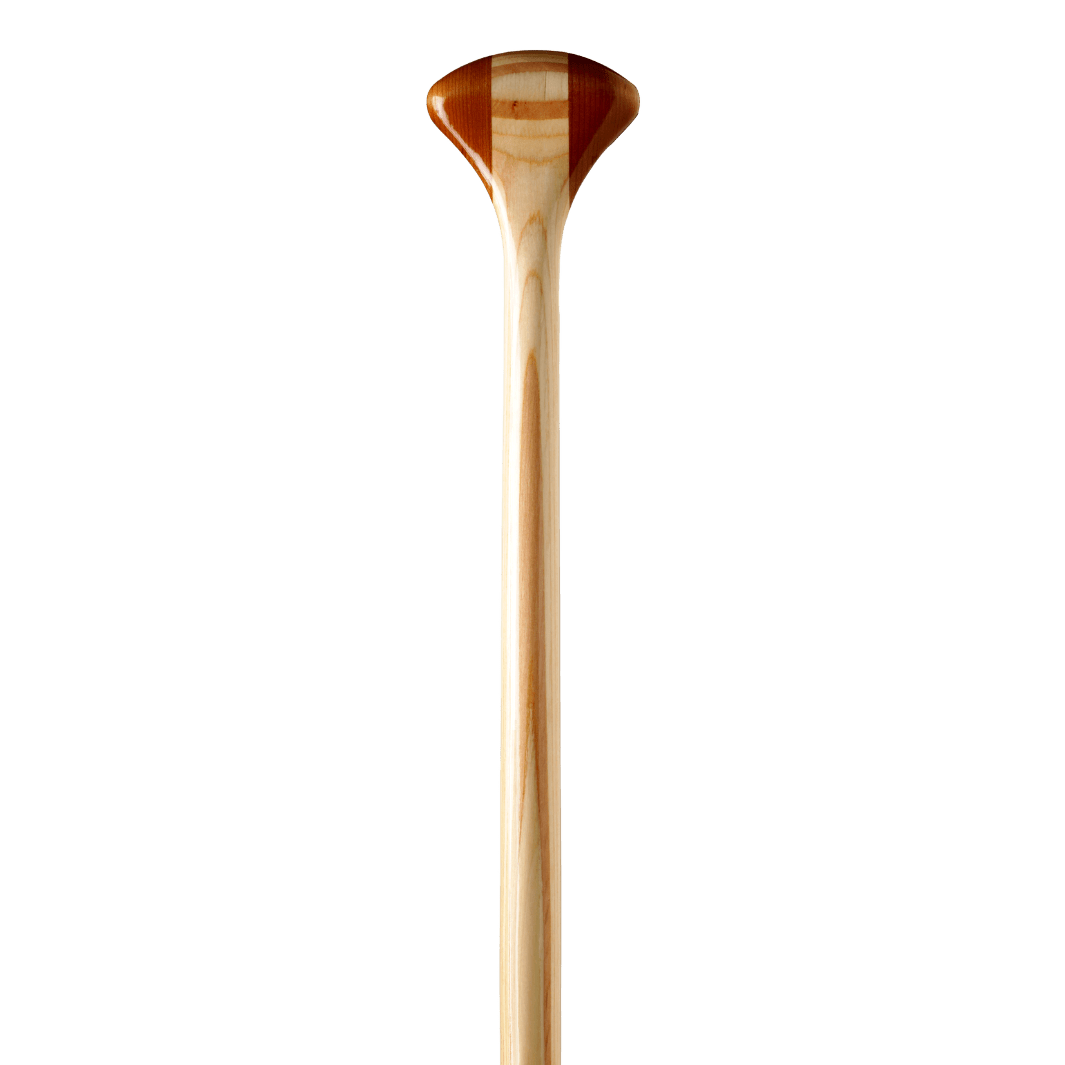Explorer Plus, Canoe Paddle, Bending Branches, 52 in at Festive Water Paddlesports