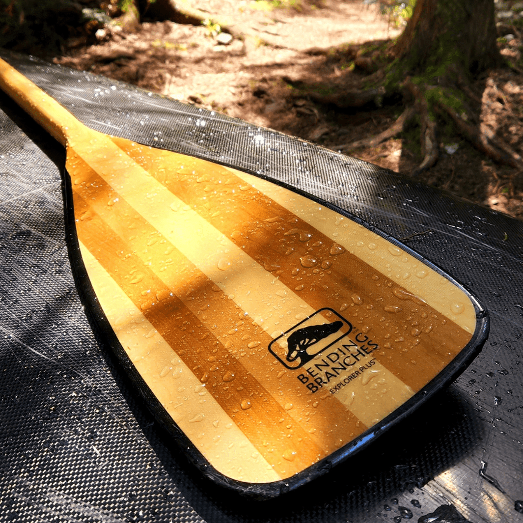 Explorer Plus, Canoe Paddle, Bending Branches, 52 in at Festive Water Paddlesports