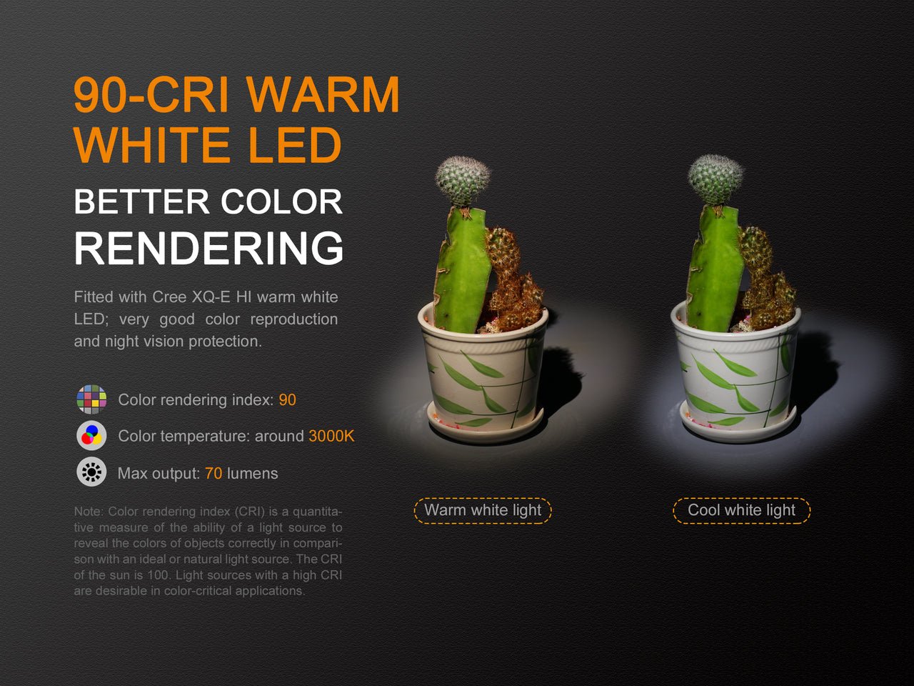 Fenix LD02 V2.0 EDC LED Penlight with UV Lighting, EDC Flashlight, Fenix Store, at Festive Water Paddlesports