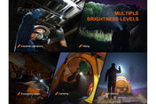 Fenix LD22 V2 Compact LED Flashlight - 800 Lumens, EDC Flashlight, Fenix Store, at Festive Water Paddlesports