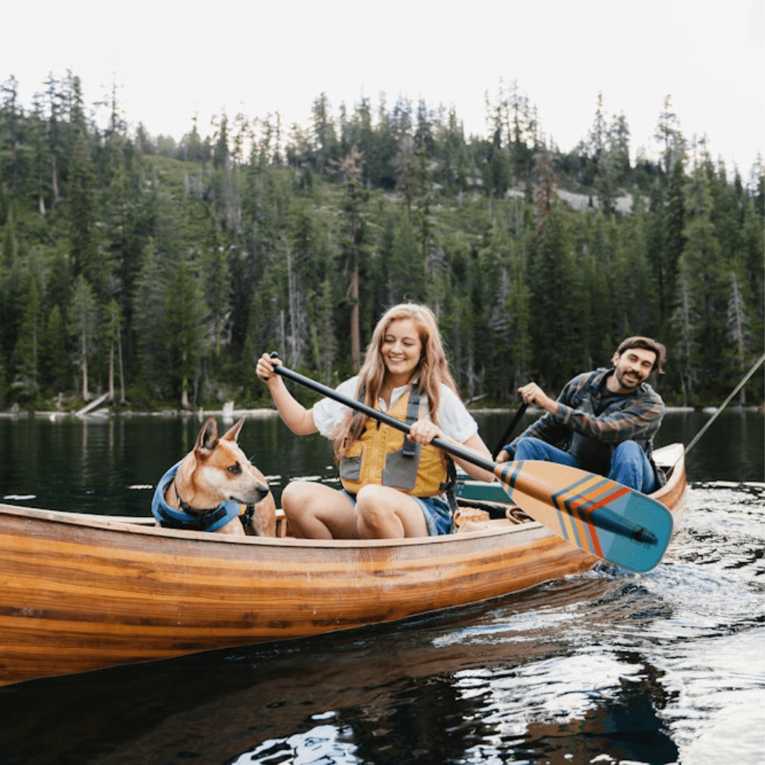Horizon, Canoe Paddle, Bending Branches, 52 in at Festive Water Paddlesports