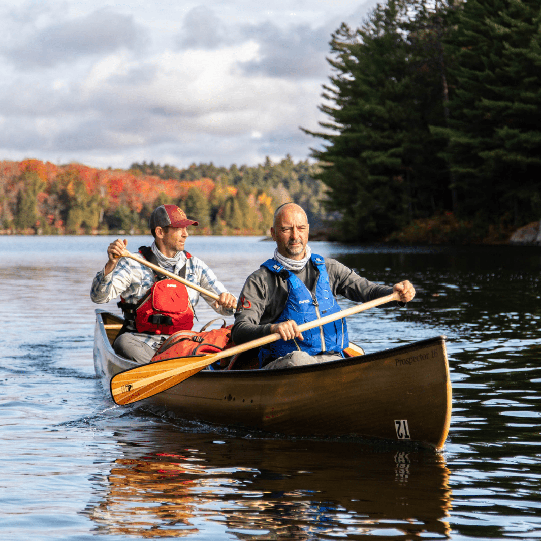 Java ST, Canoe Paddle, Bending Branches, 52 in at Festive Water Paddlesports