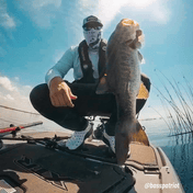 K,orD. NECK GAITER, Neck Gaiter, Kayak, or Die™, M at Festive Water Paddlesports