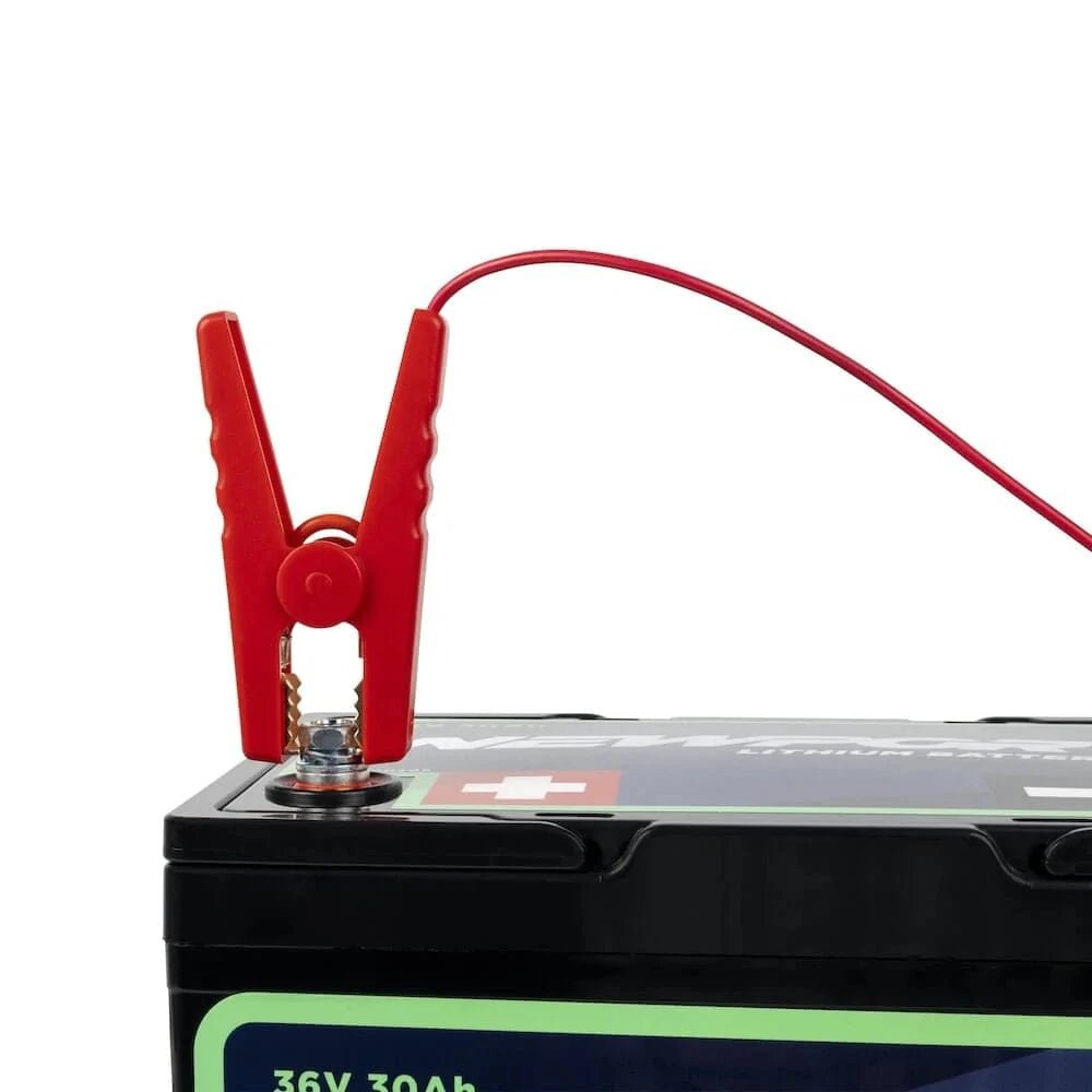 Newport 24V (LifeP04) Battery Charger, Battery Chargers, Newport Vessels, , , at Festive Water Paddlesports