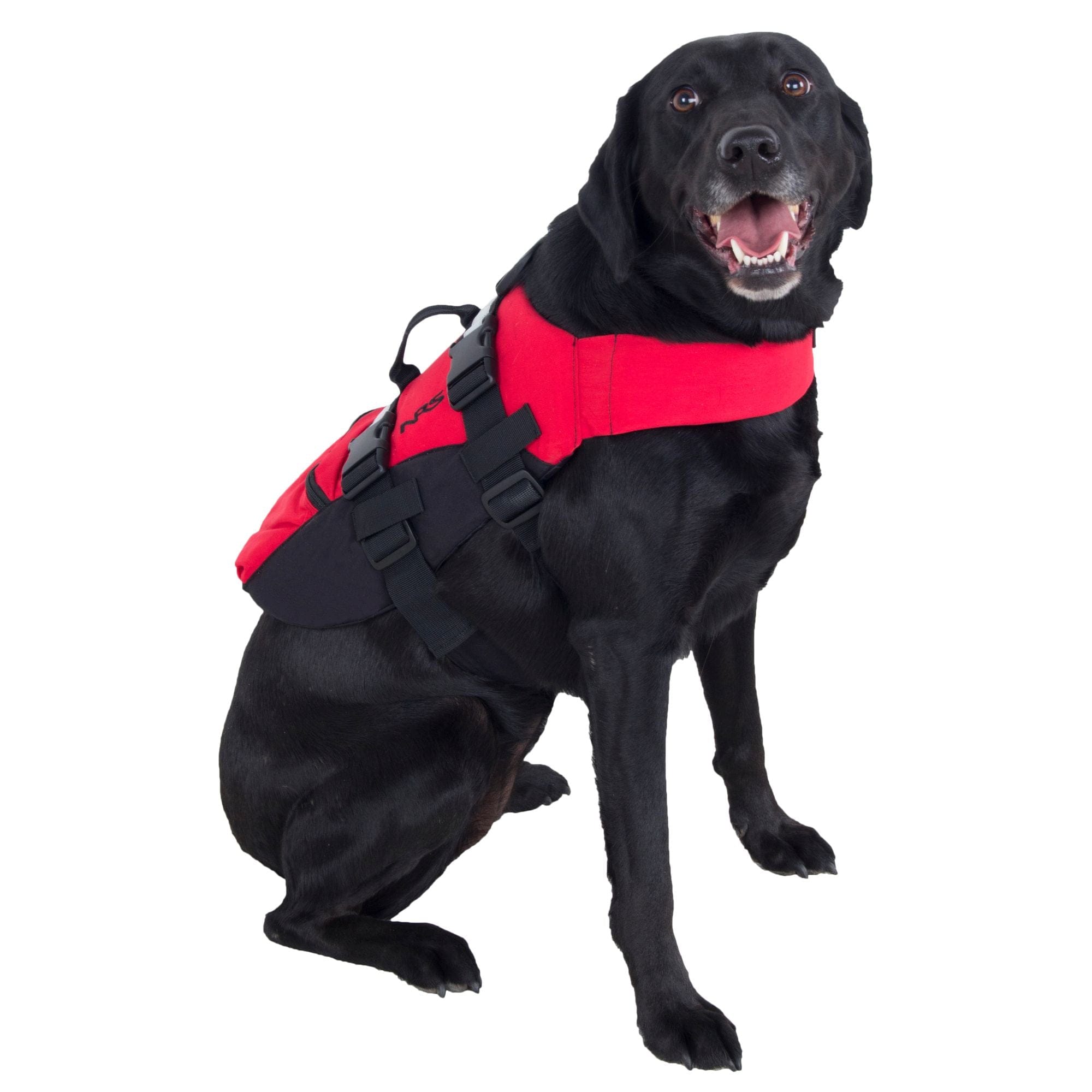 NRS Dog PFD (CFD), Dog CFD, NRS, , , at Festive Water Paddlesports