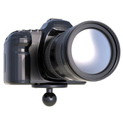 RAM Mount Strap Clamp Roll Bar Mount w/Standard Length Double Socket Arm & 2.5" Round Base w/1/4" - 20 Male Threaded Post [RAM - B - 149Z - 2 - 202AU], Rail/Handle Bar Mounts, RAM Mounting Systems, , , at Festive Water Paddlesports