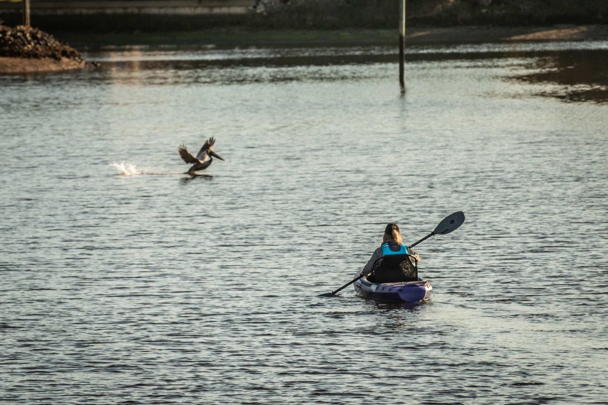 Shaka 100, Kayaks, Vibe Kayaks, Caribbean Blue at Festive Water Paddlesports