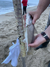 Slot Stick Fishing Rod Holder, , Boonedox USA, at Festive Water Paddlesports