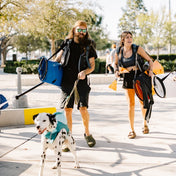 Spring Blowout! Tucktec Pro Folding Kayak | Hard - Shell | 2 - minute Set - up | Foldable, Portable Kayak, Sporting Goods > Outdoor Recreation > Boating & Water Sports > Boating & Rafting >Foldable Kayaks, Tucktec Folding Kayaks, YELLOW at Festive Water Paddlesports