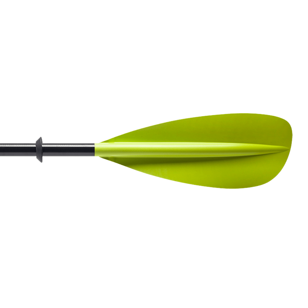 Sunrise Glass, Kayak Paddle, Bending Branches, Green 210 cm at Festive Water Paddlesports