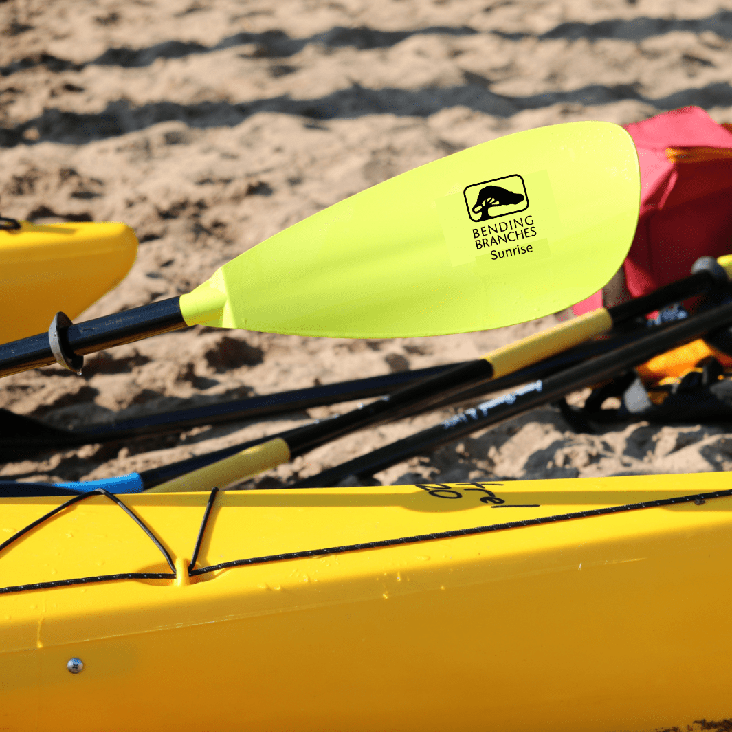 Sunrise Glass, Kayak Paddle, Bending Branches, Yellow 210 cm at Festive Water Paddlesports
