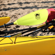 Sunrise Glass, Kayak Paddle, Bending Branches, Yellow 210 cm at Festive Water Paddlesports