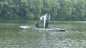 The Adjustable Drag Strap "The A.D.S.", , Rogue Fishing Co., , , at Festive Water Paddlesports