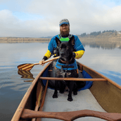 Viper, Canoe Paddle, Bending Branches, 48 in at Festive Water Paddlesports