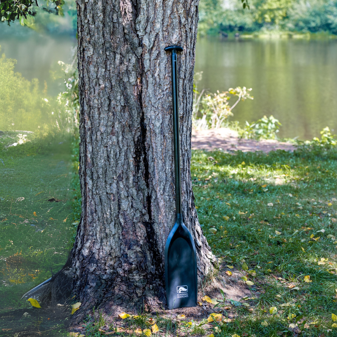Waypoint, Canoe Paddle, Bending Branches, 48 in at Festive Water Paddlesports