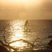 BOTE WULF Aero 10′4″ Inflatable Paddle Board - Festive Water